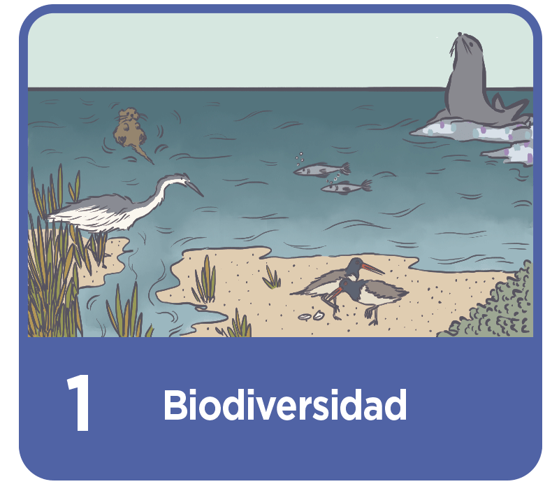 Biodiversidad