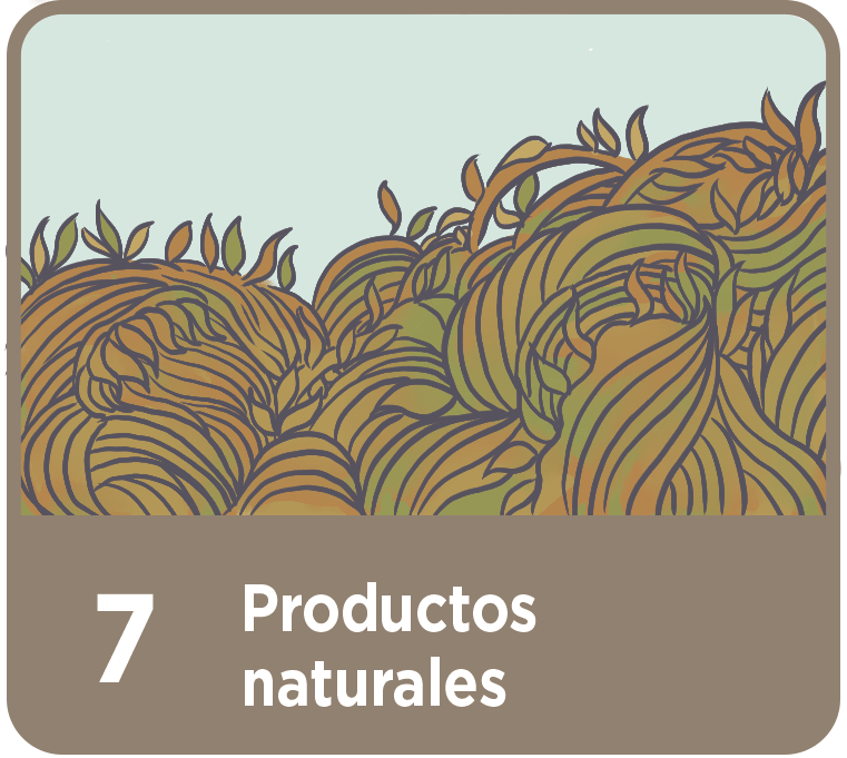 Productos Naturales